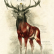 Illustration for article titled One of the most majestic anatomy illustrations weve ever seen